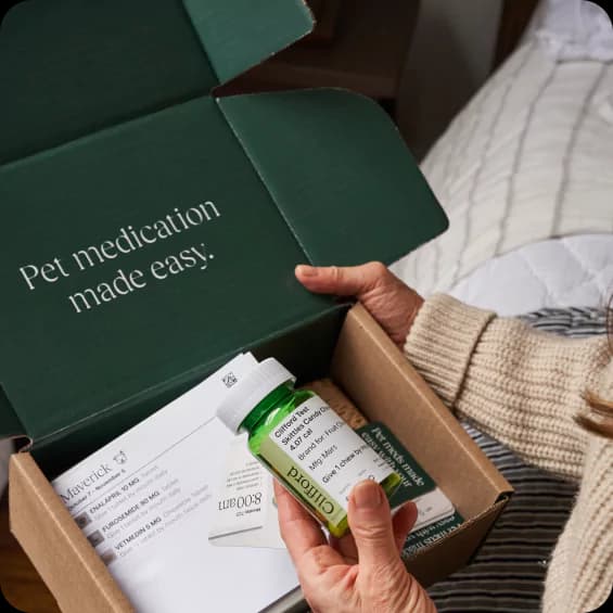 Partnering with Koala