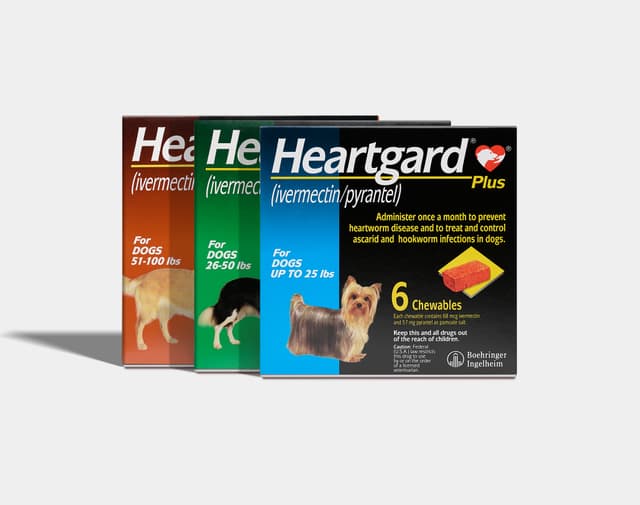 Dewormers & Parasiticides