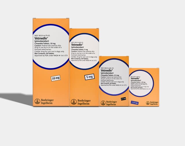 Heart & Blood Pressure